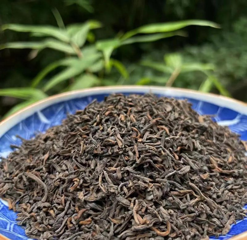 青岛窖藏六堡茶：传统与现代的完美融合