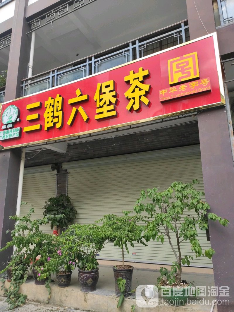 六堡茶批发