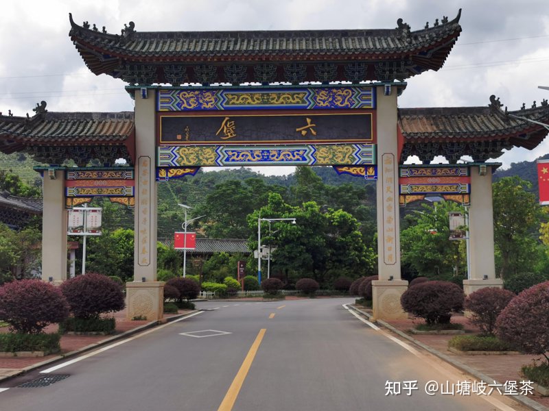你是否曾经将一包茶叶遗忘在角落，直到它变得陈旧？遇到这种情况时，人们常常会问：茶叶过期了还能喝吗？今天我们就来探讨这个问题，并通过对比几种不同类型的茶叶，看看它们的保质期和保存方式。