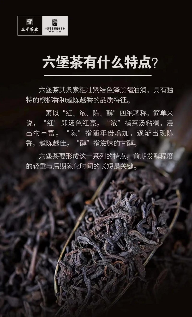广西六堡茶
